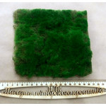 Мох искусственный зелёный листовой 15*15см